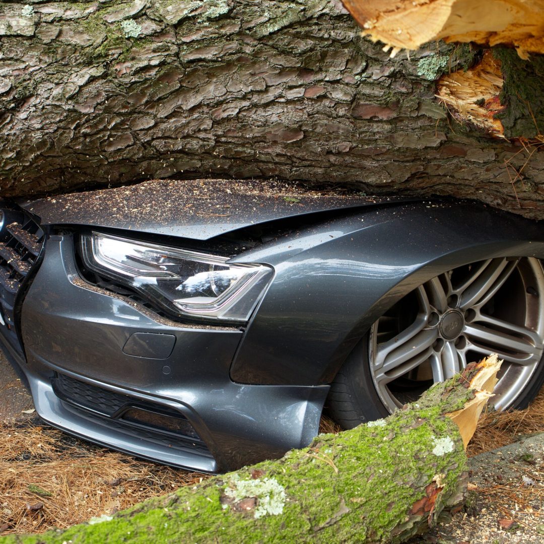 A vehicle damaged by a fallen tree after an accident in the United Kingdom.